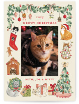 Meowy Christmas Holiday Photo Cards