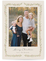 Delicate Frame Holiday Photo Cards
