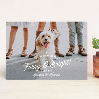 Furry Christmas Holiday Photo Cards