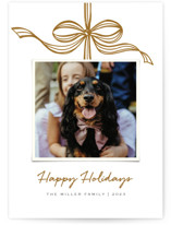 Tied with a bow Holiday Photo Cards