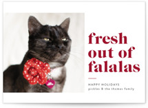 Fresh Out Holiday Photo Cards
