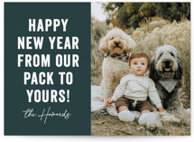 Our Pack to Yours Holiday Photo Cards