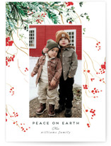 Branches and Berries Holiday Photo Cards