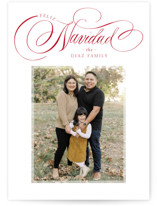 Feliz Holiday Photo Cards