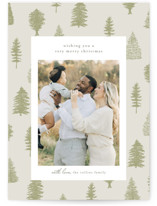 All Evergreen Holiday Photo Cards