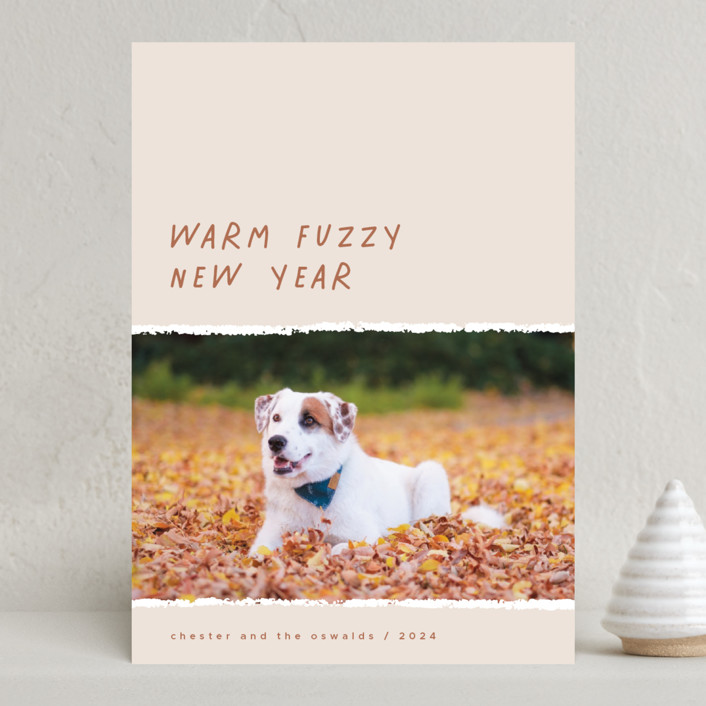 Warm Fuzzy Holiday Photo Cards by Merian | Minted