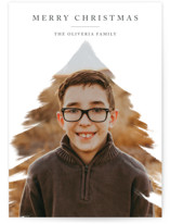 Christmas Wishes by Roopali