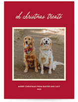 Christmas Treats Holiday Photo Cards