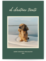 Christmas Treats Holiday Photo Cards