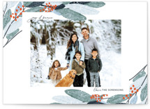 Wintery Eucalyptus Holiday Photo Cards