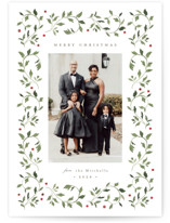Holly Framed Holiday Photo Cards