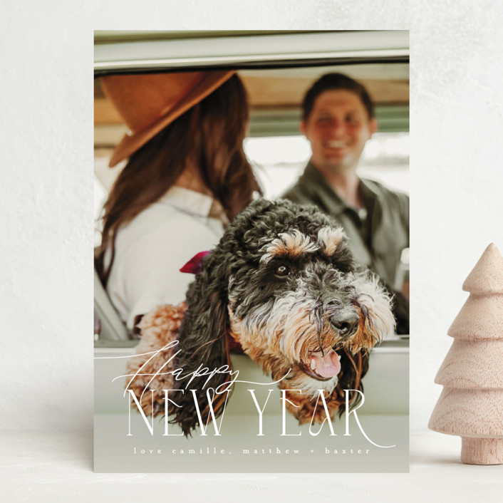 Baxter Holiday Photo Cards by Kristie Kern Minted