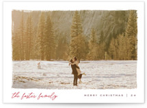Edgy Holiday Photo Cards