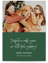 Feelin Yappy Holiday Photo Cards