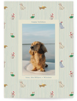 Paws & Pinstripes Holiday Photo Cards
