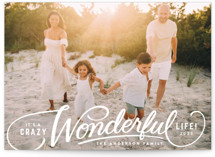 Crazy Wonderful by Jill Means