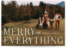 Merriest Wishes Holiday Photo Cards
