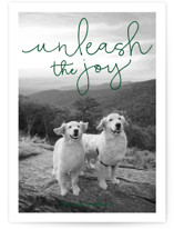 Unleash the Joy Holiday Photo Cards