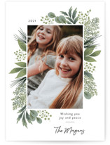Crimson Holiday Holiday Photo Cards