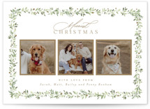 Laurel Garland Holiday Photo Cards