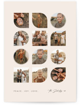 Riddle Holiday Photo Cards