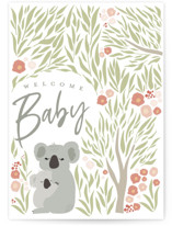 koala welcome baby