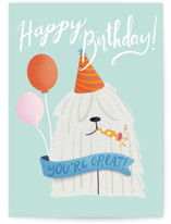 Old Dog Individual Birthday Greeting Cards