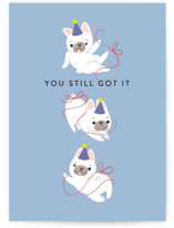 Flirty Frenchie Individual Birthday Greeting Cards