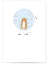 Have a Ball Individual Birthday Greeting Cards