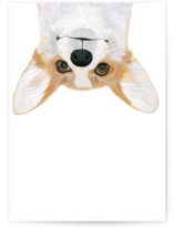 Derp Individual Blank Greeting Cards