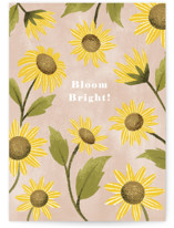 Sunflower Party Individual Seasonal Greeting Cards