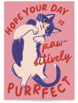 Purrfect Individual Feminine Birthday Greeting Cards