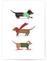 Dachshund Through the Snows Individual Holiday Greeting Cards
