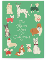 12 dogs of christmas Individual Holiday Greeting Cards