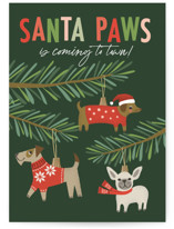 santa paws ornaments Individual Holiday Greeting Cards
