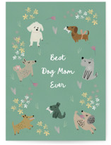 Lucky Dogs Individual Mother's Day Greeting Cards