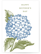 Pressed Hydrangea Individual Mother's Day Greeting Cards
