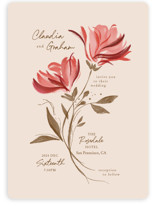 Painterly Florals