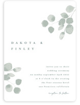 Silver Dollar Eucalyptus