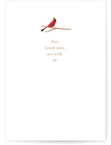 Cardinal Individual Sympathy Greeting Cards