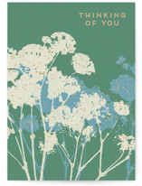 Among the Blooms Individual Sympathy Greeting Cards