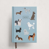 Spot Check Notebooks