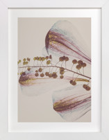 Delicate Petal Children's Art Prints