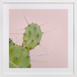 Succulent No1 Children's Art Prints
