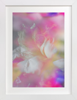Iridescent Flora Children's Art Prints
