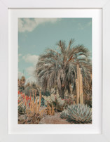 Cali Cacti Children's Art Prints
