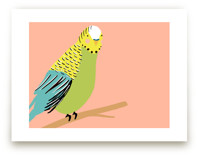 Sweet Parakeet by merry mack creative