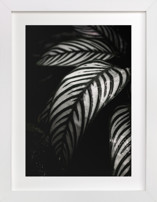 Botanical Study #10 Children's Art Prints