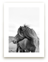 A Horse and the Wind by Ilze Lucero