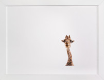 Hello up there! Children's Art Prints